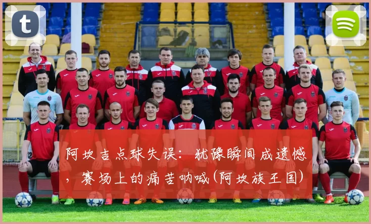 阿坎吉点球失误：犹豫瞬间成遗憾，赛场上的痛苦呐喊(阿坎族王国)